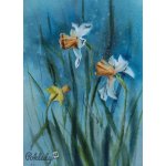 Pohlednice Narcisky – Zboží Dáma