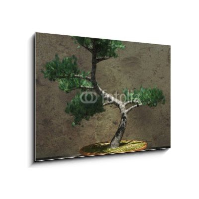 Obraz 1D - 100 x 70 cm - Decorative Bonsai Tree Dekorativní strom bonsai
