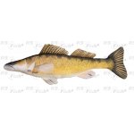 Gaby Polštář Candát Giant 110cm – Zboží Dáma