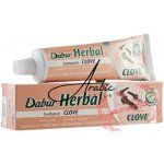 Dabur Herbal hřebíček 100 g – Hledejceny.cz