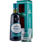 Badel Pelinkovac Gorki 31% 0,7 l (dárkové balení 1 sklenice) – Zboží Dáma