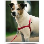 PetSafe Postroj EasyWalk – Zboží Dáma PetSafe Postroj EasyWalk – Zboží Dáma