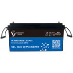 Ultimatron YX Smart BMS 12,8V 200Ah – Zboží Živě