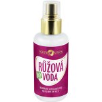 Purity Vision Bio růžová voda sprej 200 ml – Zboží Dáma