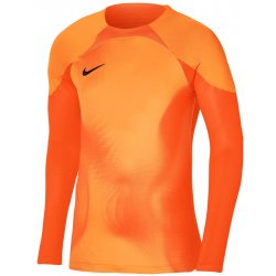 Nike Dri-Fit ADV Gardien 4 Goalkeeper Dres s dlouhým rukávem dh8346-819