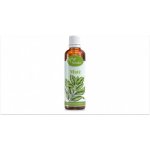 Serafin tinktura z bylin Maté 50 ml – Hledejceny.cz