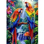 Norimpex Diamantové malování Papoušci u vodopádu 30 x 40 cm – Hledejceny.cz