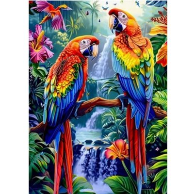 Norimpex Diamantové malování Papoušci u vodopádu 30 x 40 cm – Hledejceny.cz