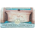 Nesti Dante Emozioni in Toscana Thermal Water přírodní mýdlo 250 g – Zboží Dáma