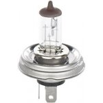 Bosch Pure Light 1987302021 R2 P45t 12V 45/40W – Hledejceny.cz