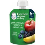 Gerber Organic kapsička jablko banán borůvka a ostružina 90 g – Zbozi.Blesk.cz
