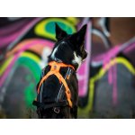 Non-stop Dogwear Postroj Free Motion 5.0 – Sleviste.cz