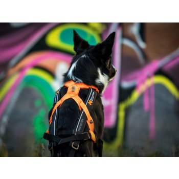 Non-stop Dogwear Postroj Free Motion 5.0
