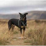 Non-stop Dogwear Postroj Line 5.0 – Sleviste.cz