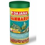 Dajana gammarus 500 ml – Zboží Dáma