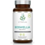 Cytoplan Boswellia kloubní výživa 400 mg 60 vegan kapslí – Hledejceny.cz