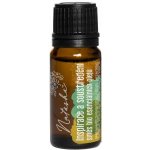 Natasha Inspirace a soustředění směs bio esenciálních olejů 10 ml – Zboží Dáma