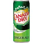 Canada Dry Ginger Ale PL 330 ml – Zbozi.Blesk.cz