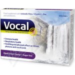 Rpm Pharma Vocal Pastilky bez cukru s příchutí Černý ryb.24ks – Sleviste.cz