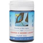 TCM Herbs Vodopád z modré laguny 100 tablet – Hledejceny.cz