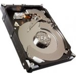 Seagate 1TB, 64MB, SATAIII, ST1000DX001 – Zboží Živě