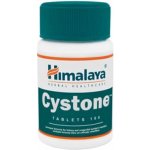 Himalaya Cystone 100 tablet – Zbozi.Blesk.cz