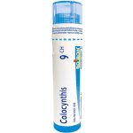 COLOCYNTHIS POR 9CH GRA 1X4G – Hledejceny.cz