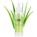 Essens Aloe vera koncentrát s výtažky z bylin 100 ml – Hledejceny.cz