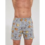 Cornette pánské trenýrky 001/121 Classic – Hledejceny.cz