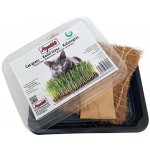 Apetit ptačí tráva pěstební miska kokos.rohož 30 g – Hledejceny.cz
