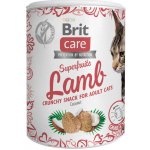Brit Care Cat Snack Superfruits Lamb with Coconut 100 g – Hledejceny.cz