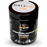 Ostfarm Ostropestřec mariánský bylinná kaše 180 ml – Hledejceny.cz