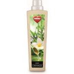 Dedra avivážní kondicionér L´avivage 2in1 Zazen 750 ml – Zboží Dáma