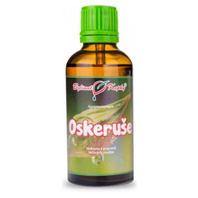 Bylinné kapky Oskeruše tinktura 50 ml – Hledejceny.cz
