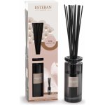 Esteban Paris Parfums difuzér MOKA Iris Cachemire 100 ml – Zboží Mobilmania