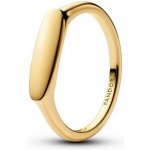Pandora 163986C00 – Sleviste.cz