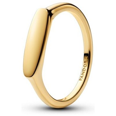 Pandora 163986C00 – Sleviste.cz