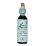 Bachovy květové esence Kaštan červený Red Chestnut 20 ml – Hledejceny.cz