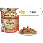 Carnilove Puppy Paté Salmon with Blueberries 300 g – Zbozi.Blesk.cz