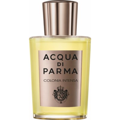 Acqua Di Parma Colonia Intensa kolínská voda pánská 100 ml tester – Zboží Mobilmania