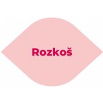 Rozkoš erotická hra + dárek hrací kostky – Zboží Dáma