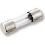 CT 520310 T 10A Pojistka přístrojová 5x20 - skleněná, OMEGA – Hledejceny.cz