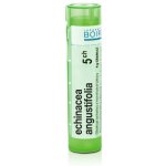 ECHINACEA ANGUSTIFOLIA POR 5CH GRA 1X4G – Hledejceny.cz