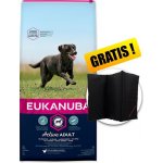 Eukanuba Adult Large Breed Chicken 15 kg – Hledejceny.cz