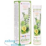 Diochi Citrus Amla šumivé tablety s Vitamínem C 20 tablet – Hledejceny.cz
