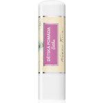 Nobilis Tilia Dětská Kosmetika Bětka pomáda na rty pro výživu a hydrataci 4,2 g – Hledejceny.cz