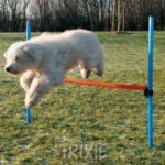 Trixie Agility překážka 3 tyče / 129/115 cm – Hledejceny.cz