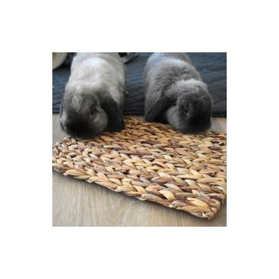 Rosewood Přírodní podložka pro králíky a hlodavce HYACINT 33 x 23 cm – Zboží Mobilmania