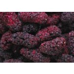 Lyofio Mrazem sušená moruše celá 100 g – Hledejceny.cz