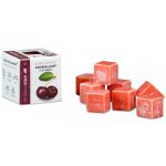 Kozák Červené jablko přírodní vonný vosk do aromalamp a interiérů 8 kostiček 30 g – Zboží Dáma